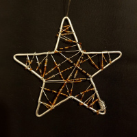 Christmas star