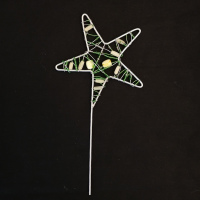 Christmas star