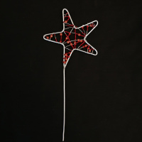 Christmas star