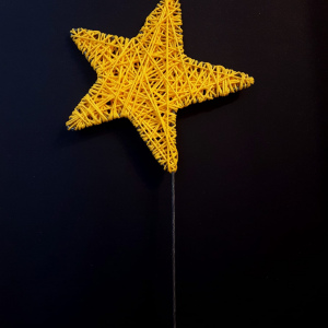 Christmas star